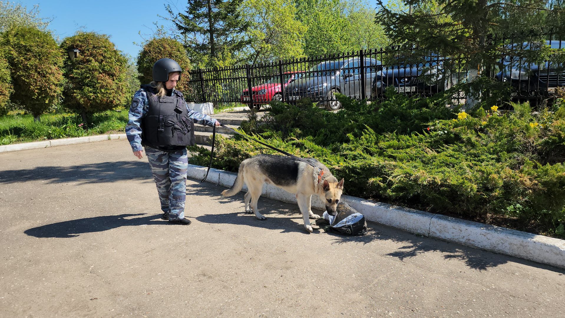 антитеррор, Антитеррористические учения, лицей, нестеровский лицей, Руза, рузский городской округ, Безопасность,