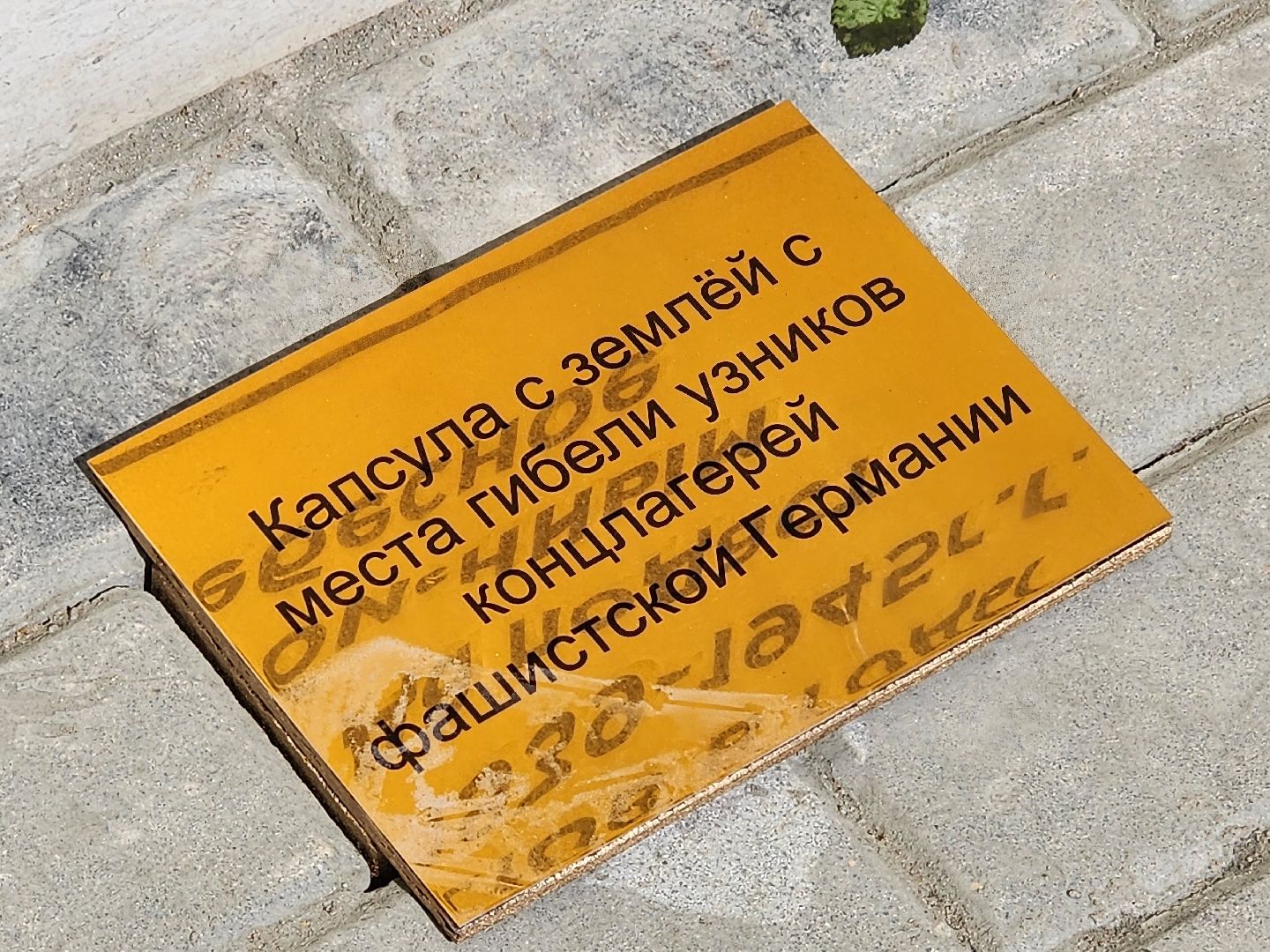 королёв,