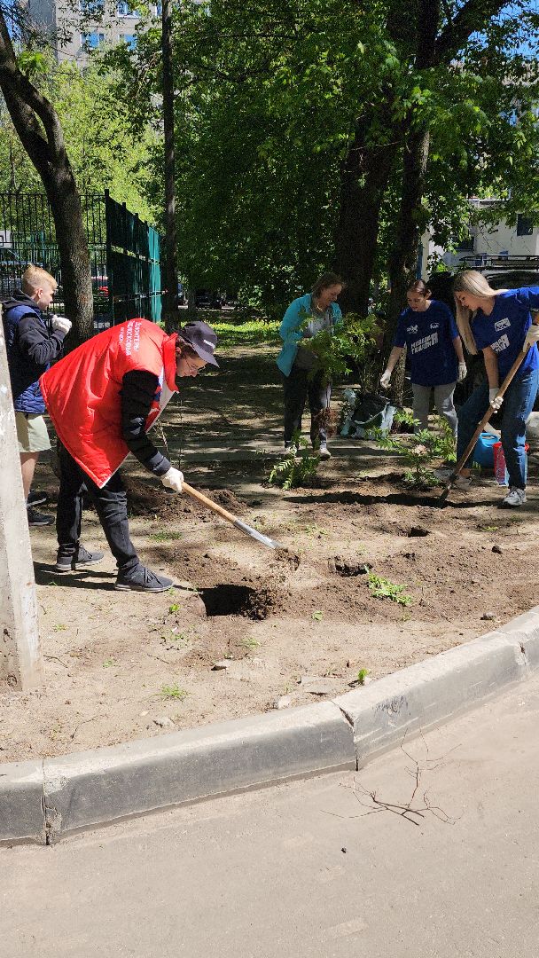 Город-сад, волонтеры, молодая гвардия, Ольга Пушкарева, Союз садоводов, кустарники, ул гагарина,