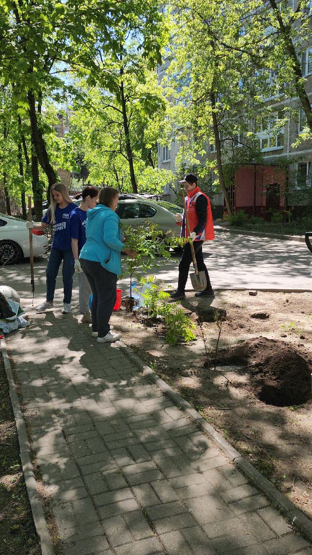 Город-сад, волонтеры, молодая гвардия, Ольга Пушкарева, Союз садоводов, кустарники, ул гагарина,