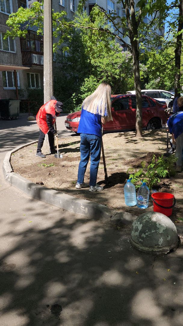 Город-сад, волонтеры, молодая гвардия, Ольга Пушкарева, Союз садоводов, кустарники, ул гагарина,
