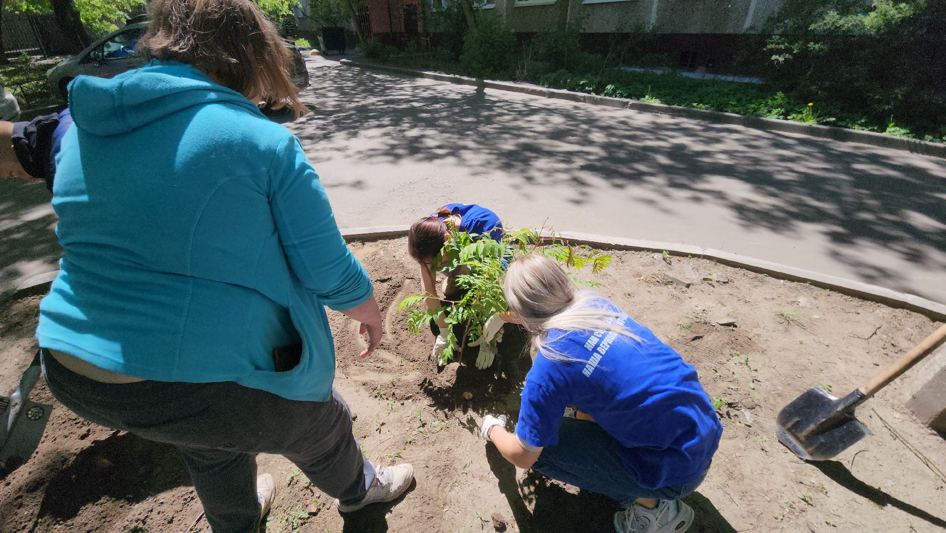 Город-сад, волонтеры, молодая гвардия, Ольга Пушкарева, Союз садоводов, кустарники, ул гагарина,