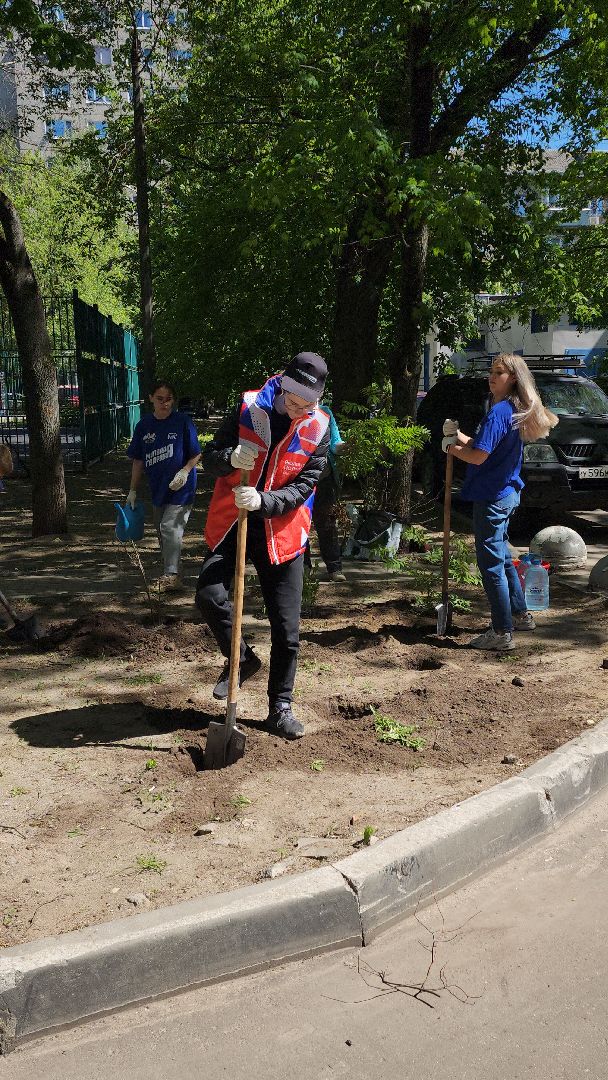 Город-сад, волонтеры, молодая гвардия, Ольга Пушкарева, Союз садоводов, кустарники, ул гагарина,