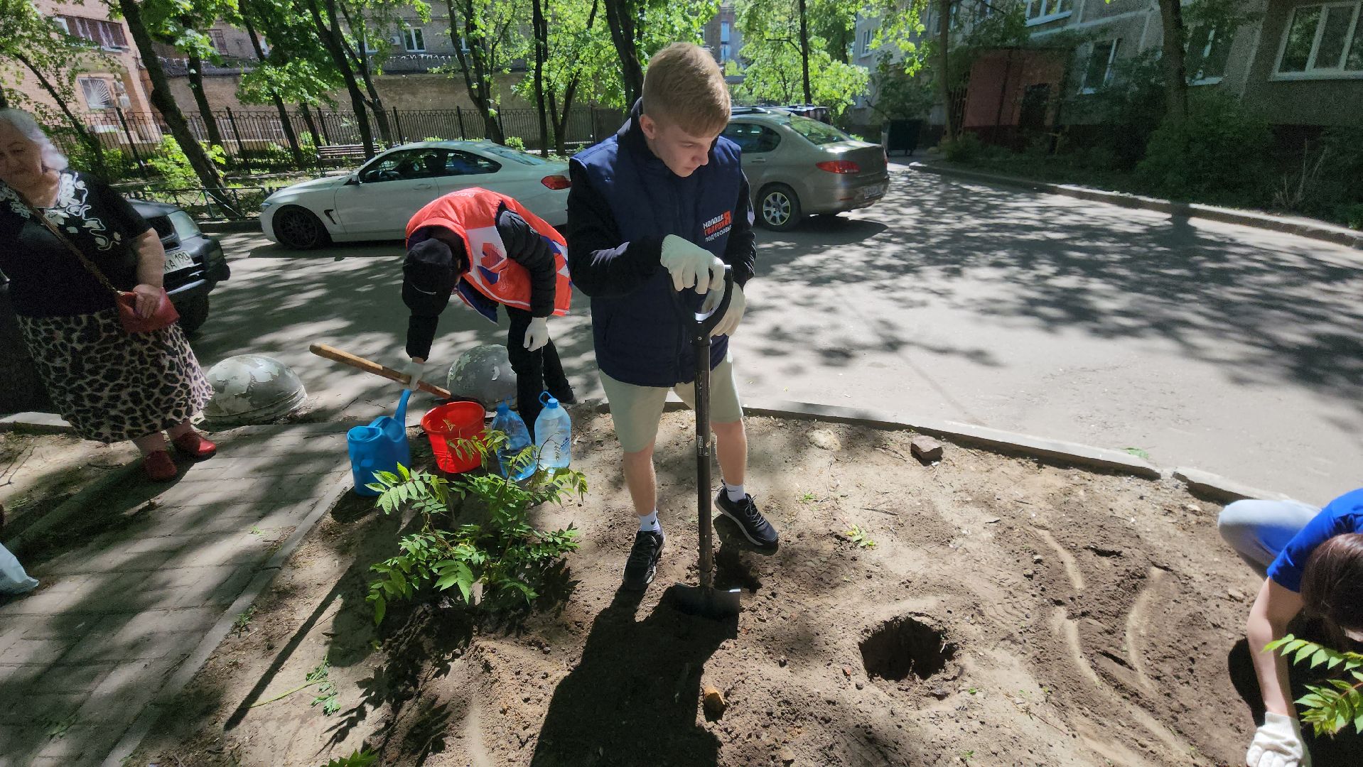 Город-сад, волонтеры, молодая гвардия, Ольга Пушкарева, Союз садоводов, кустарники, ул гагарина,