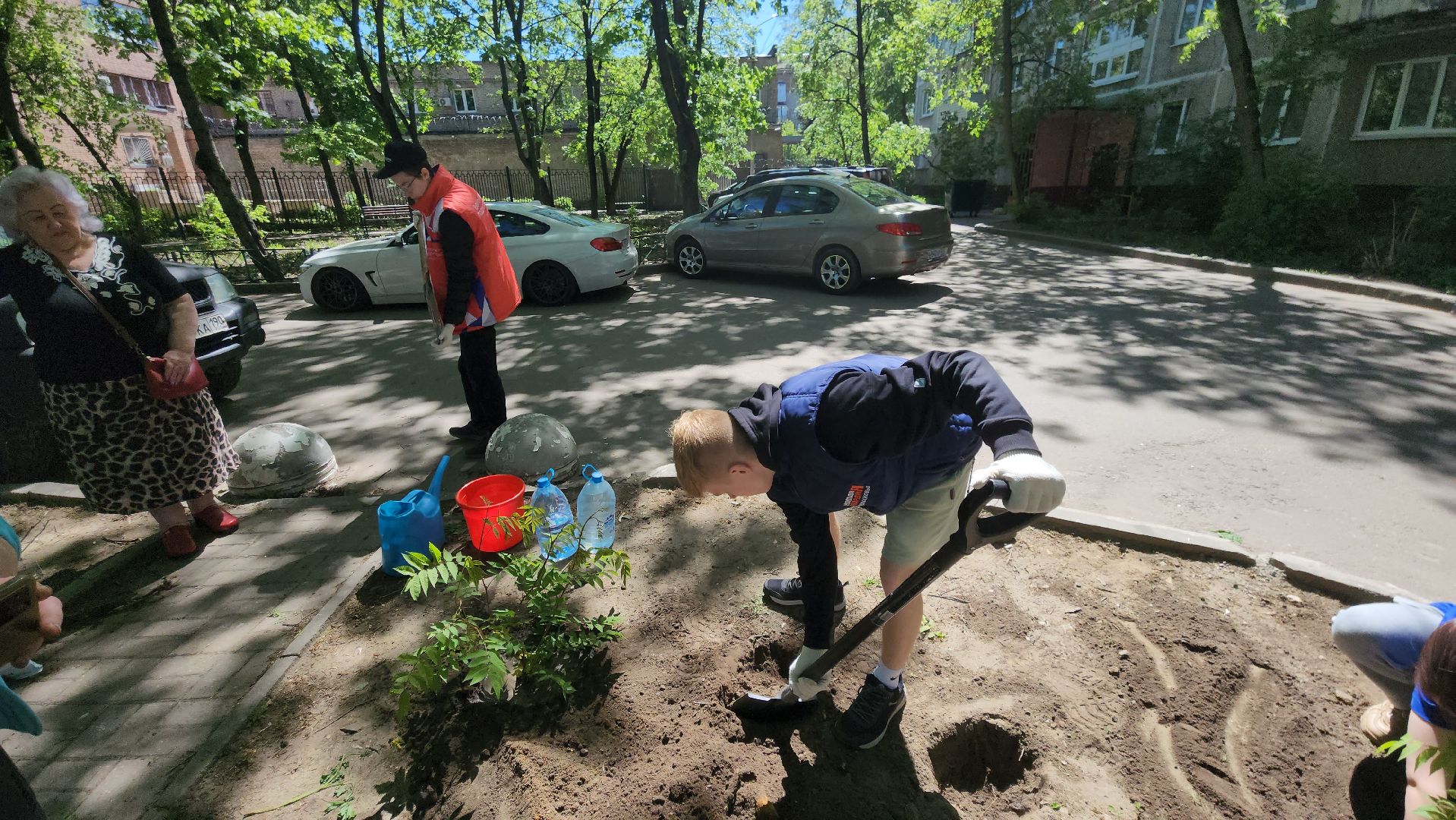 Город-сад, волонтеры, молодая гвардия, Ольга Пушкарева, Союз садоводов, кустарники, ул гагарина,