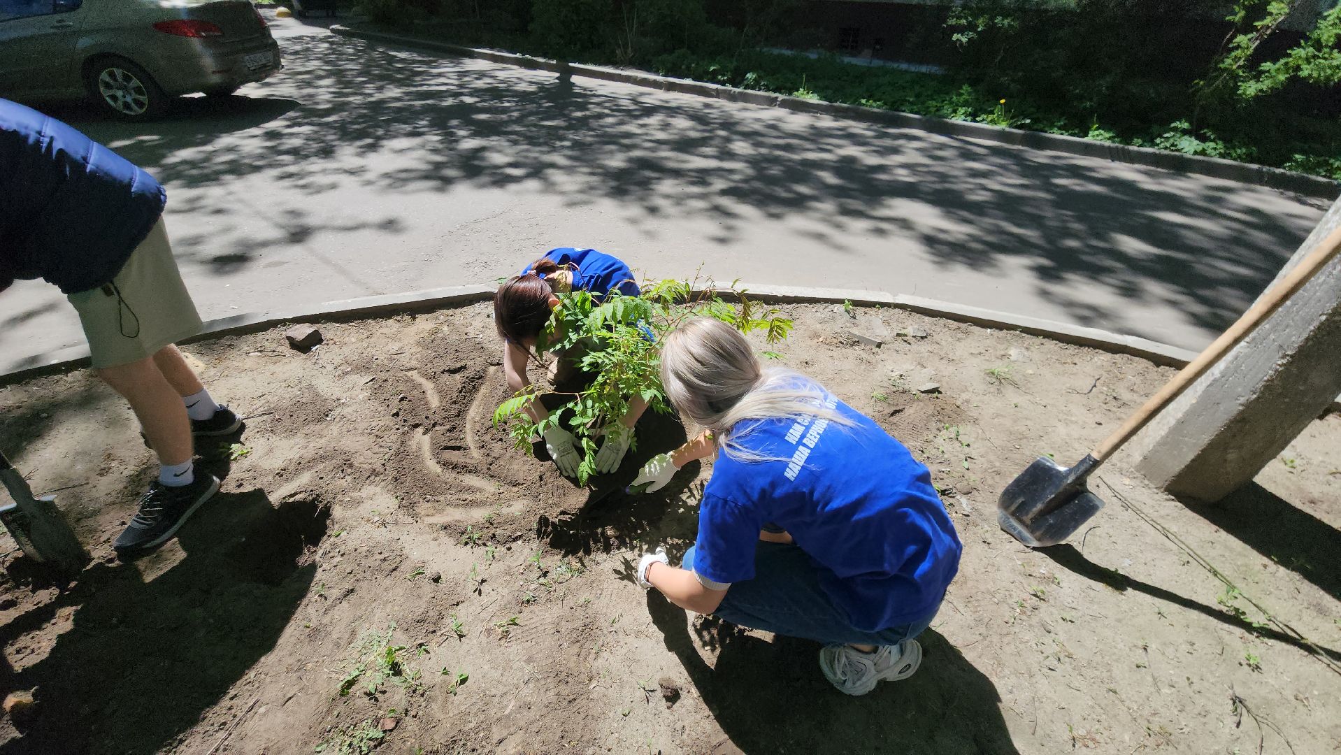 Город-сад, волонтеры, молодая гвардия, Ольга Пушкарева, Союз садоводов, кустарники, ул гагарина,