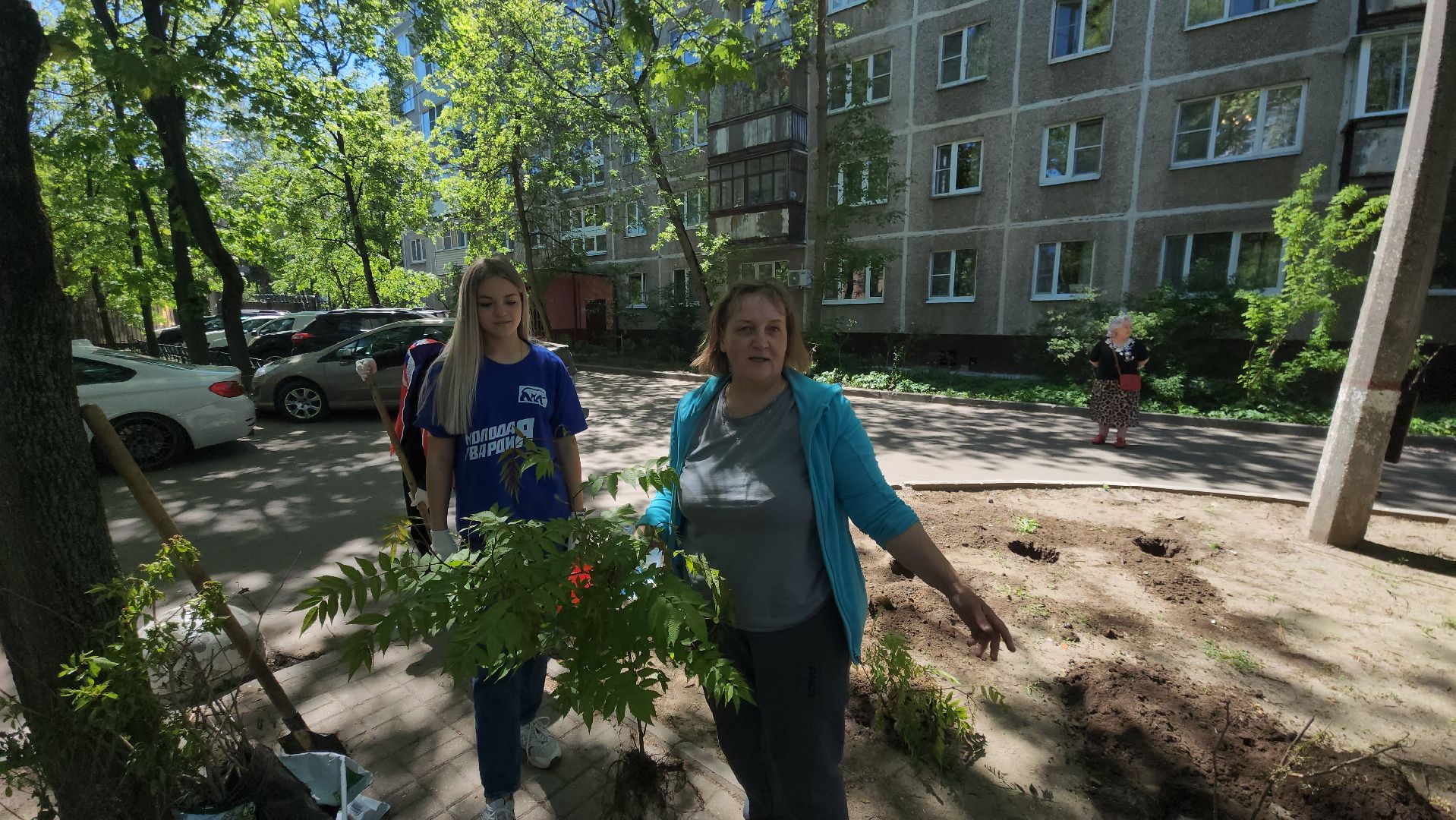 Город-сад, волонтеры, молодая гвардия, Ольга Пушкарева, Союз садоводов, кустарники, ул гагарина,