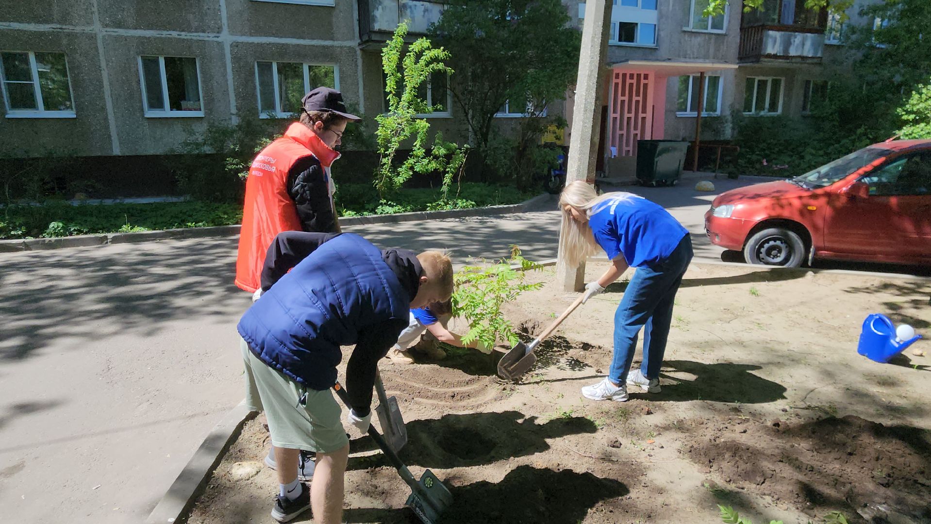 Город-сад, волонтеры, молодая гвардия, Ольга Пушкарева, Союз садоводов, кустарники, ул гагарина,