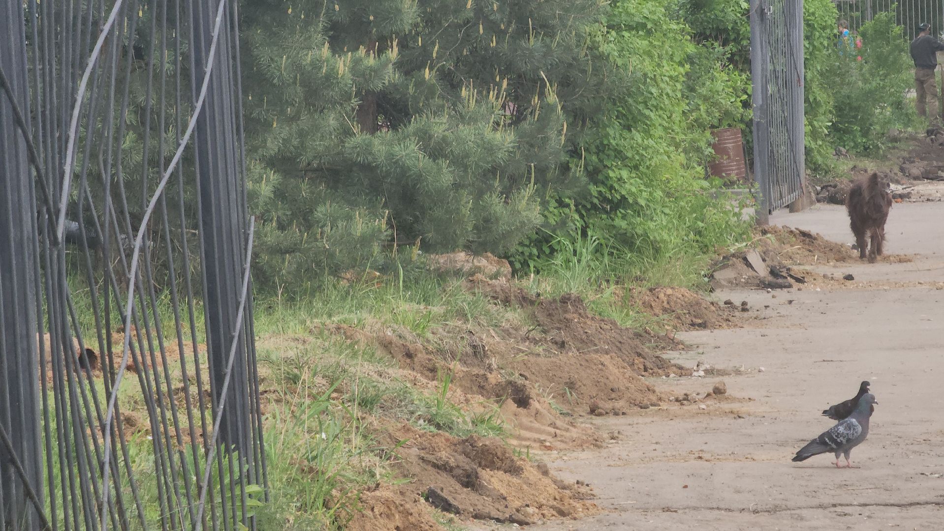 павловский посад, городского округ павловский посад, школа, строительство, ремонт, дети,