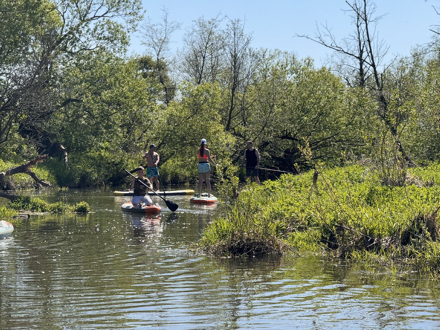 шаховская, сап-сёрфинг, сапборд, сплав,