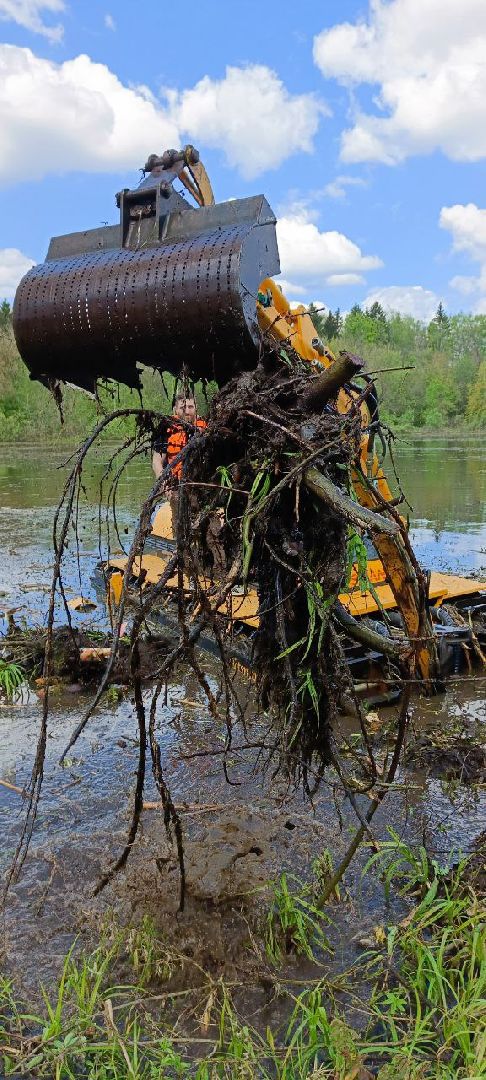 Дмитров, Очистка прудов,