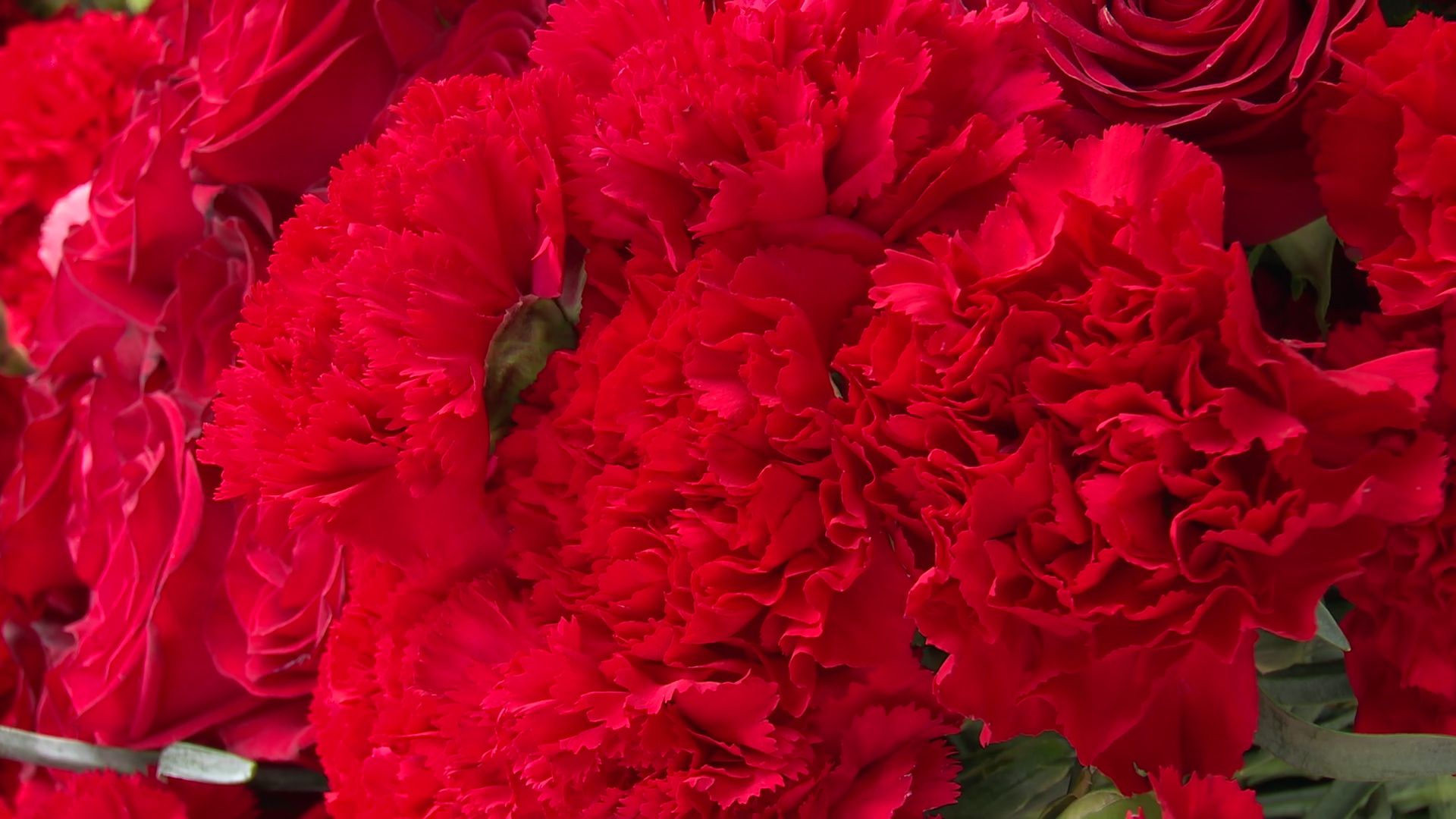 Реутов, табличка, СВО, герой СВО, память,