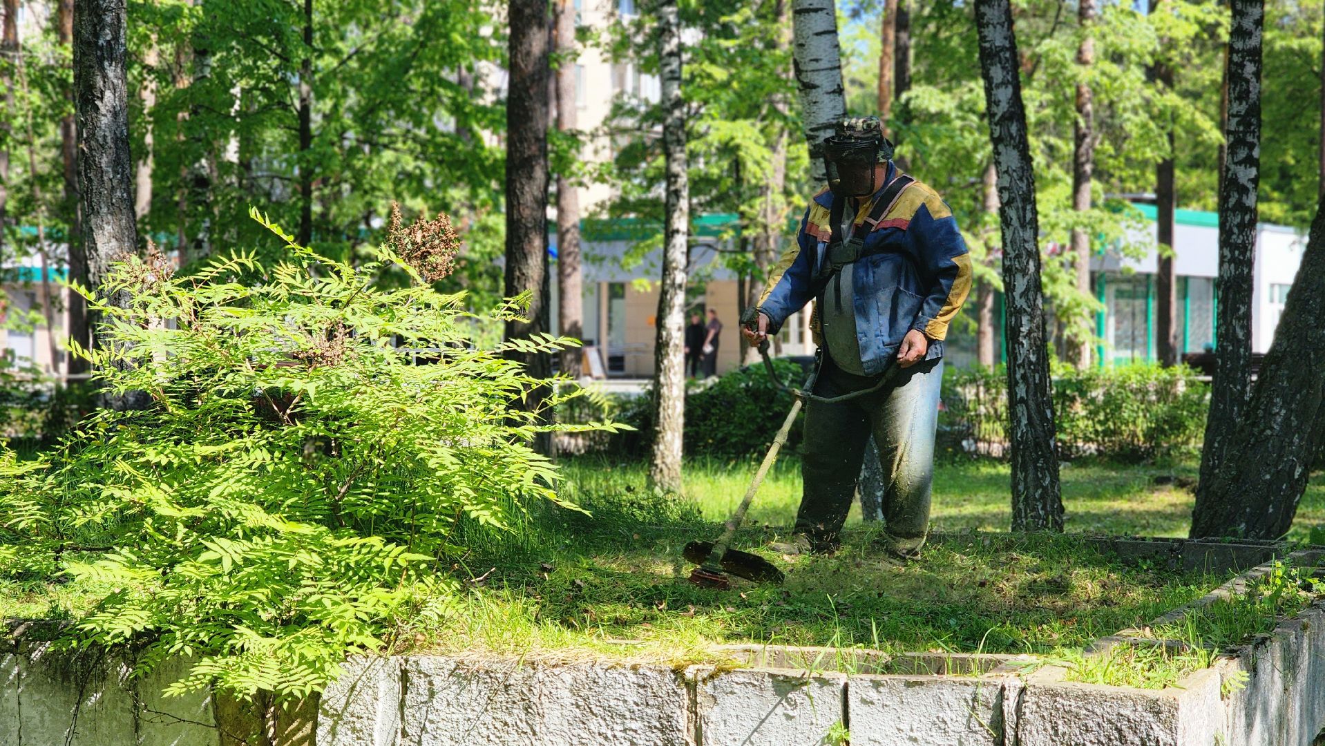 благоустройство, комбинат благоустройства, протвино, окос травы, порядок,