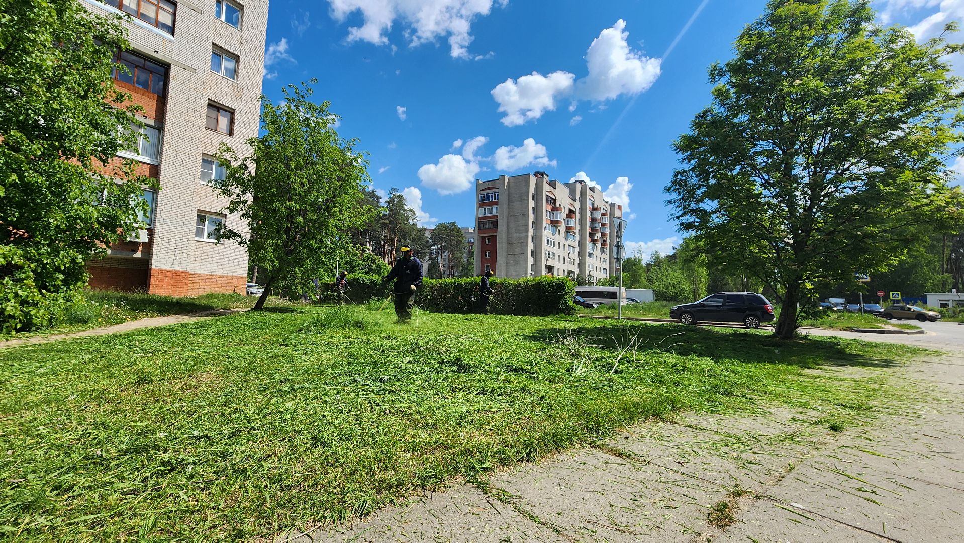 благоустройство, комбинат благоустройства, протвино, окос травы, порядок,