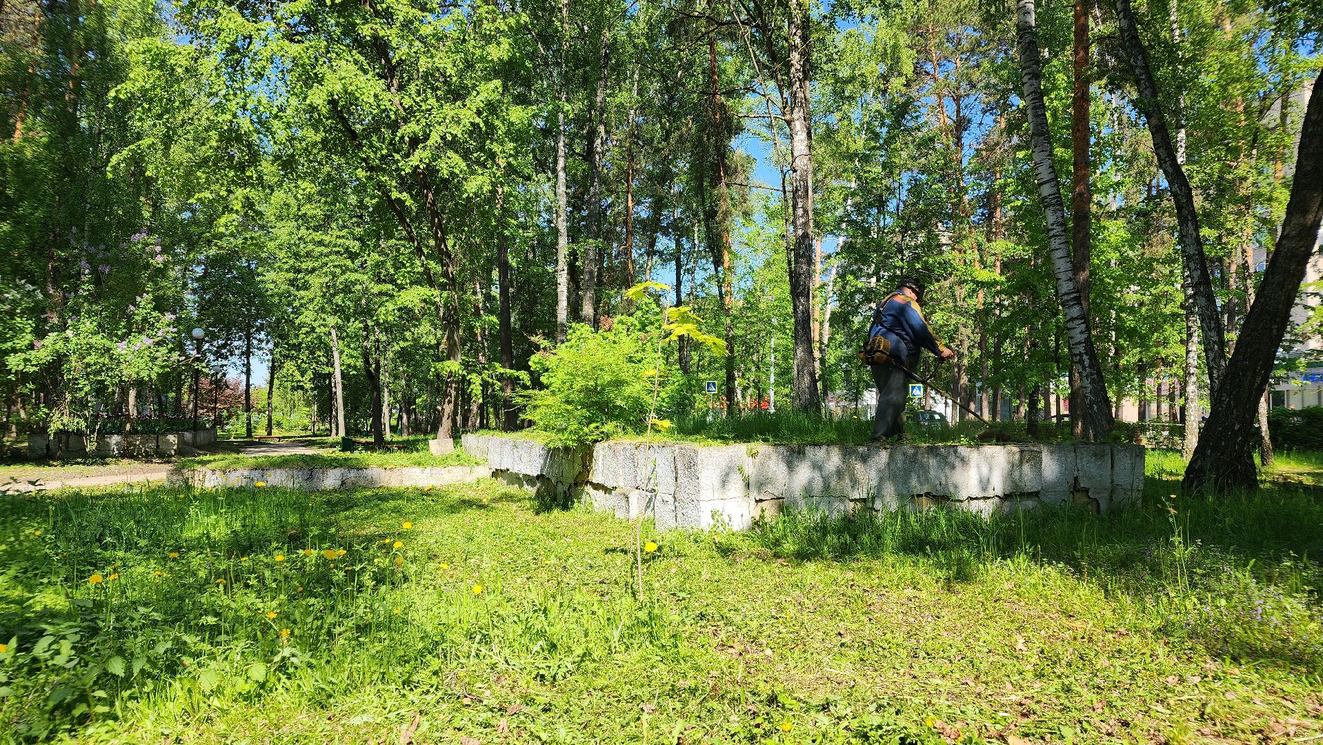 благоустройство, комбинат благоустройства, протвино, окос травы, порядок,