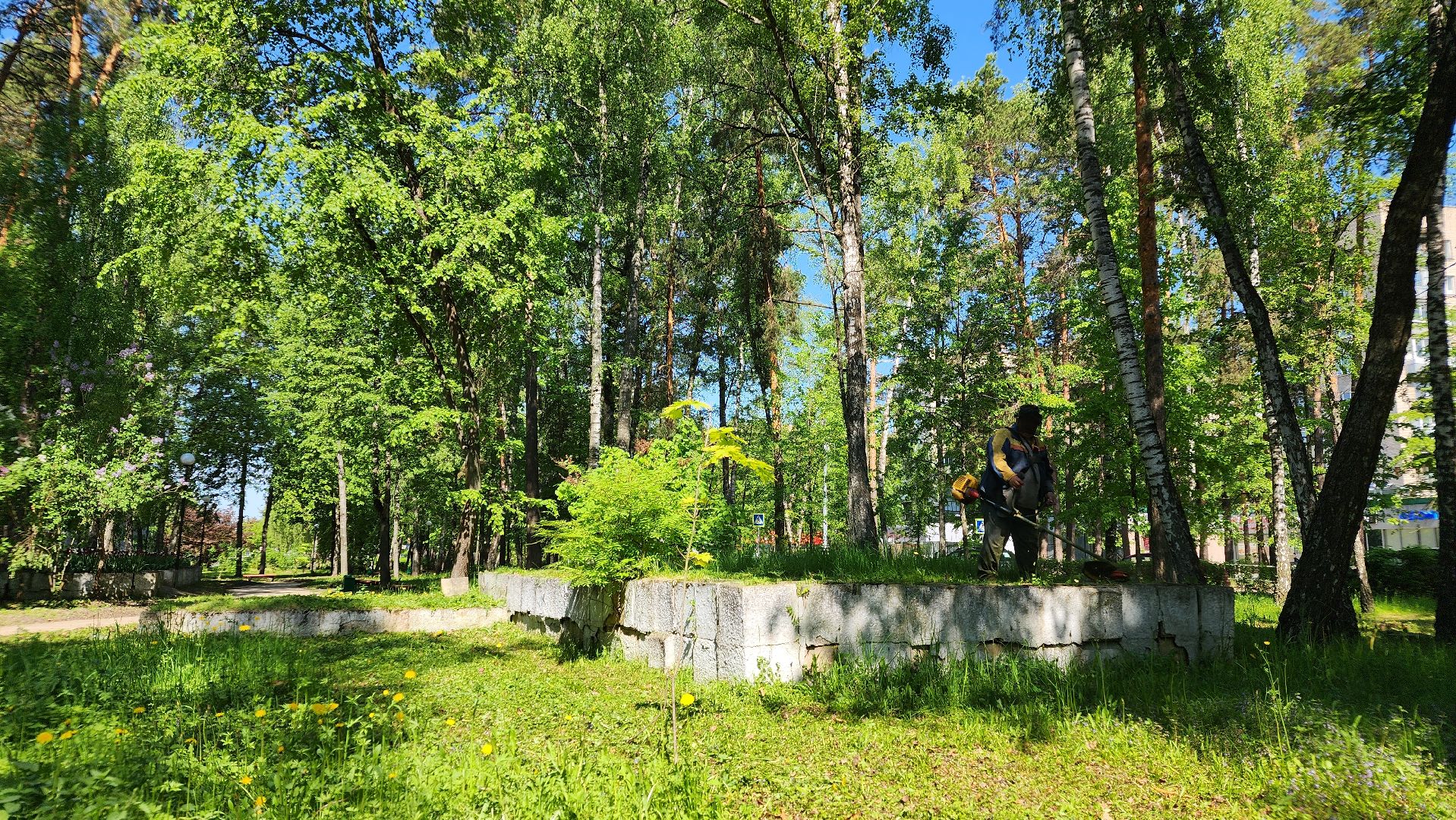 благоустройство, комбинат благоустройства, протвино, окос травы, порядок,