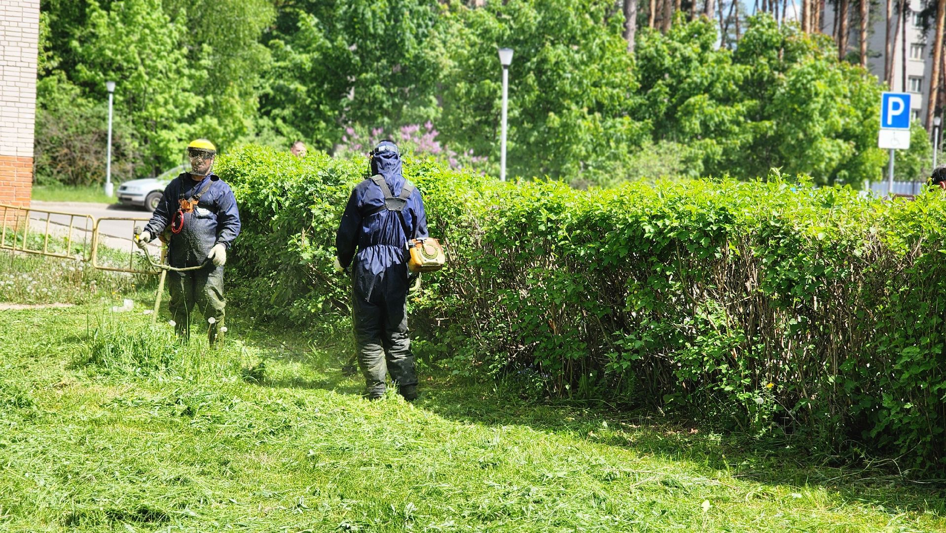 благоустройство, комбинат благоустройства, протвино, окос травы, порядок,