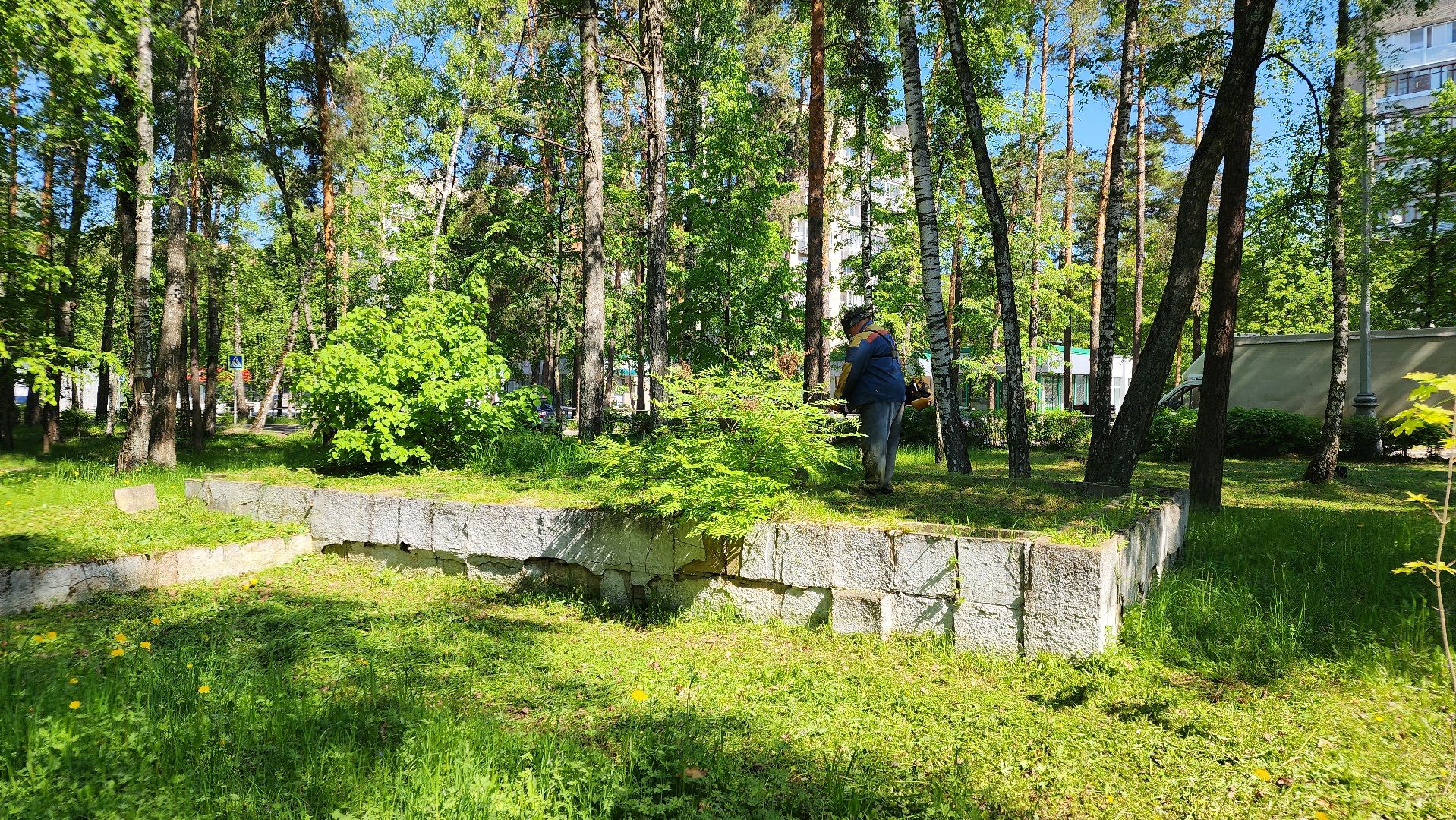 благоустройство, комбинат благоустройства, протвино, окос травы, порядок,