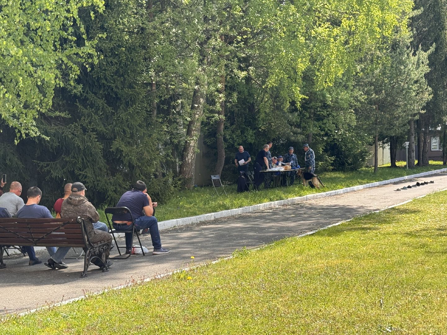 Одинцово, уфсин мо, Кинологи, Чемпионат кинологов,