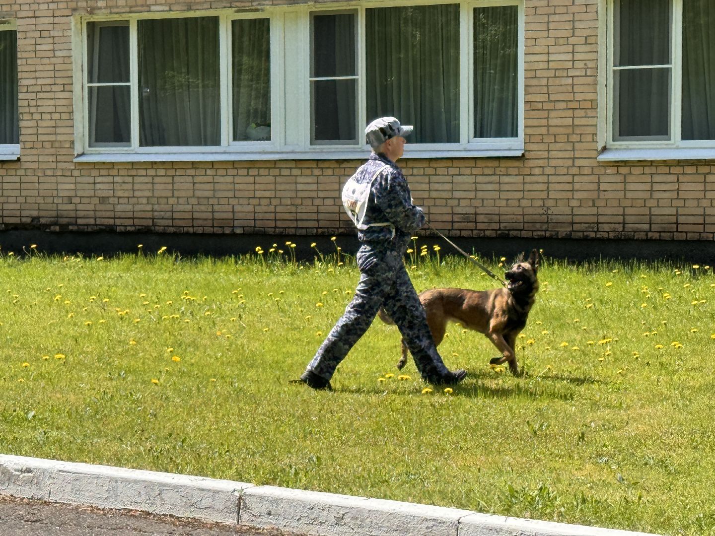 Одинцово, уфсин мо, Кинологи, Чемпионат кинологов,