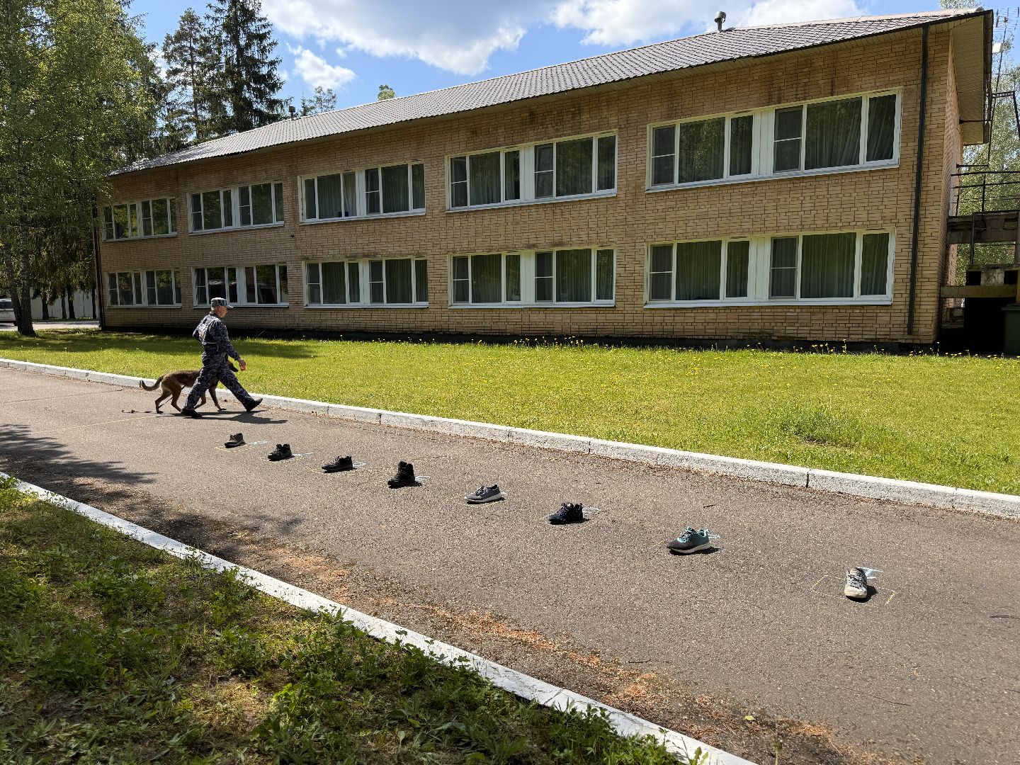 Одинцово, уфсин мо, Кинологи, Чемпионат кинологов,