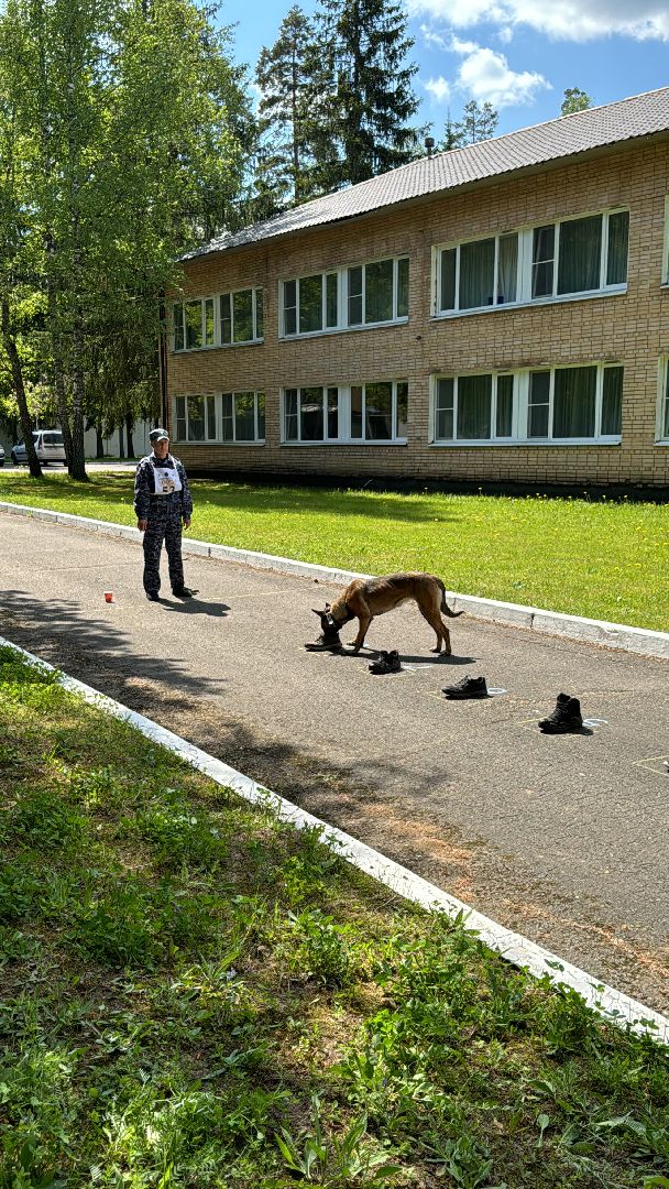 Одинцово, уфсин мо, Кинологи, Чемпионат кинологов,