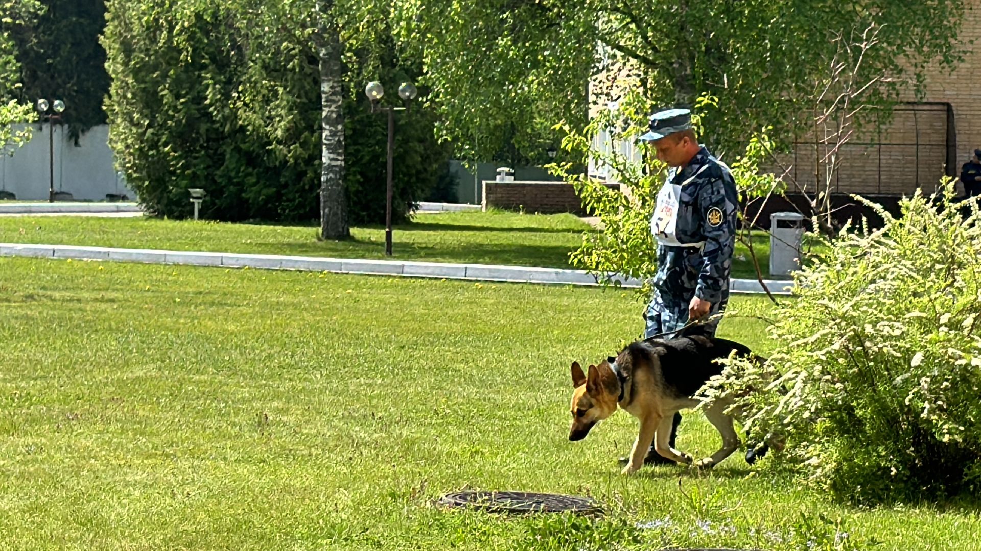 Одинцово, уфсин мо, Кинологи, Чемпионат кинологов,