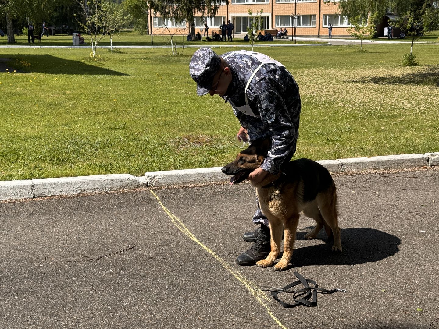 Одинцово, уфсин мо, Кинологи, Чемпионат кинологов,