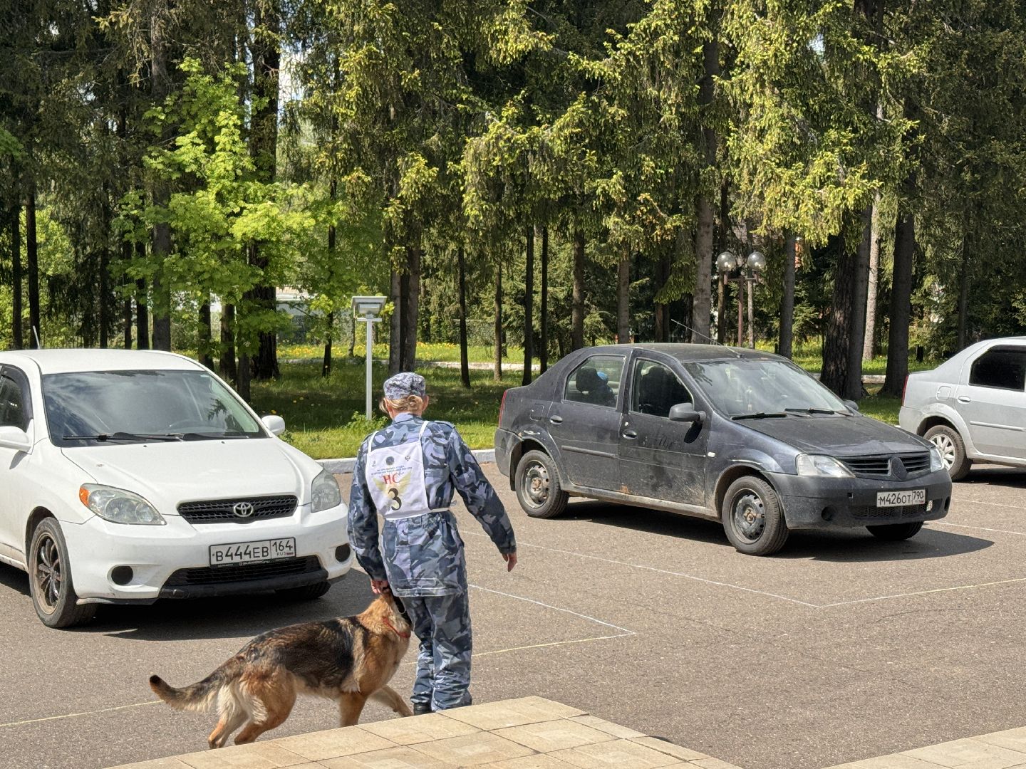 Одинцово, уфсин мо, Кинологи, Чемпионат кинологов,