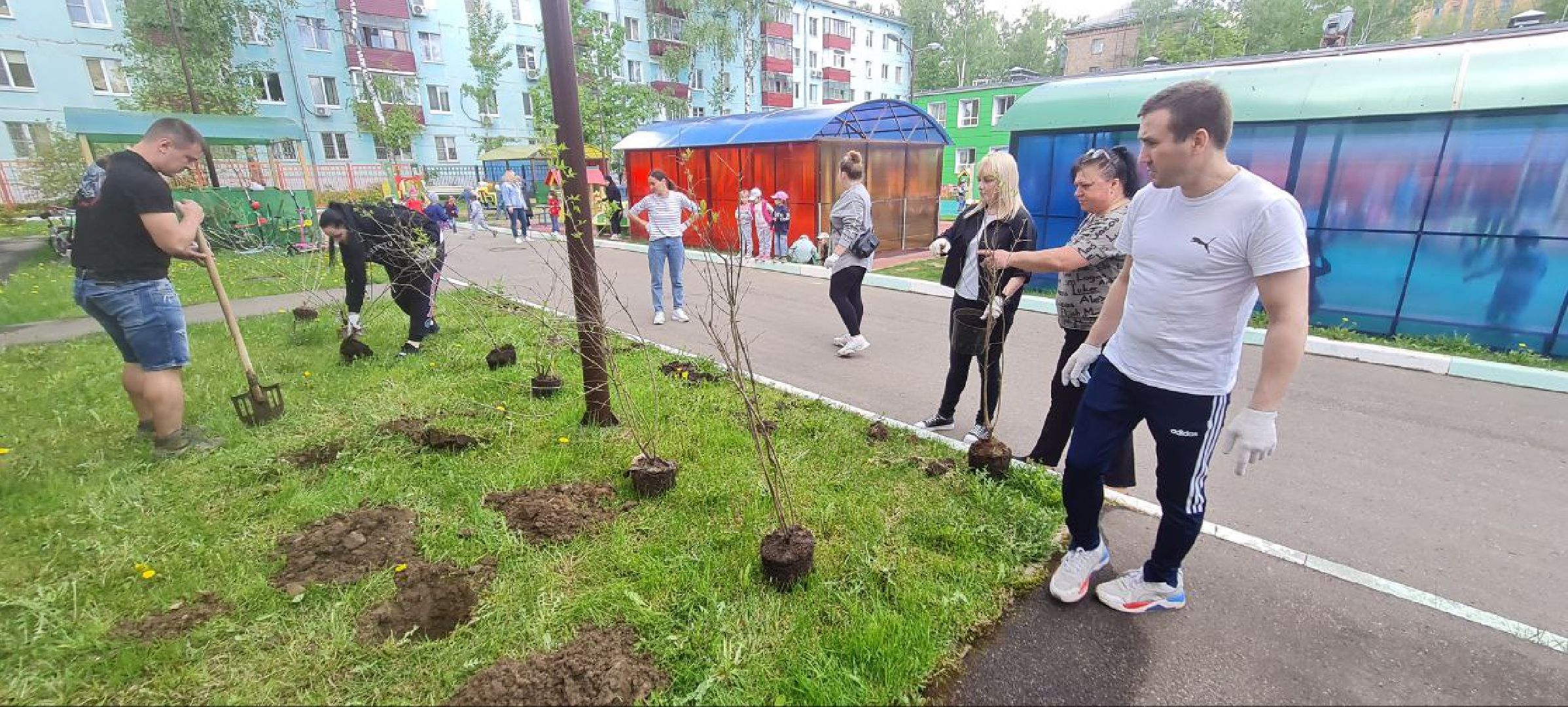 Реутов, образование, традиции, посадка кустарников, аллея выпускников,