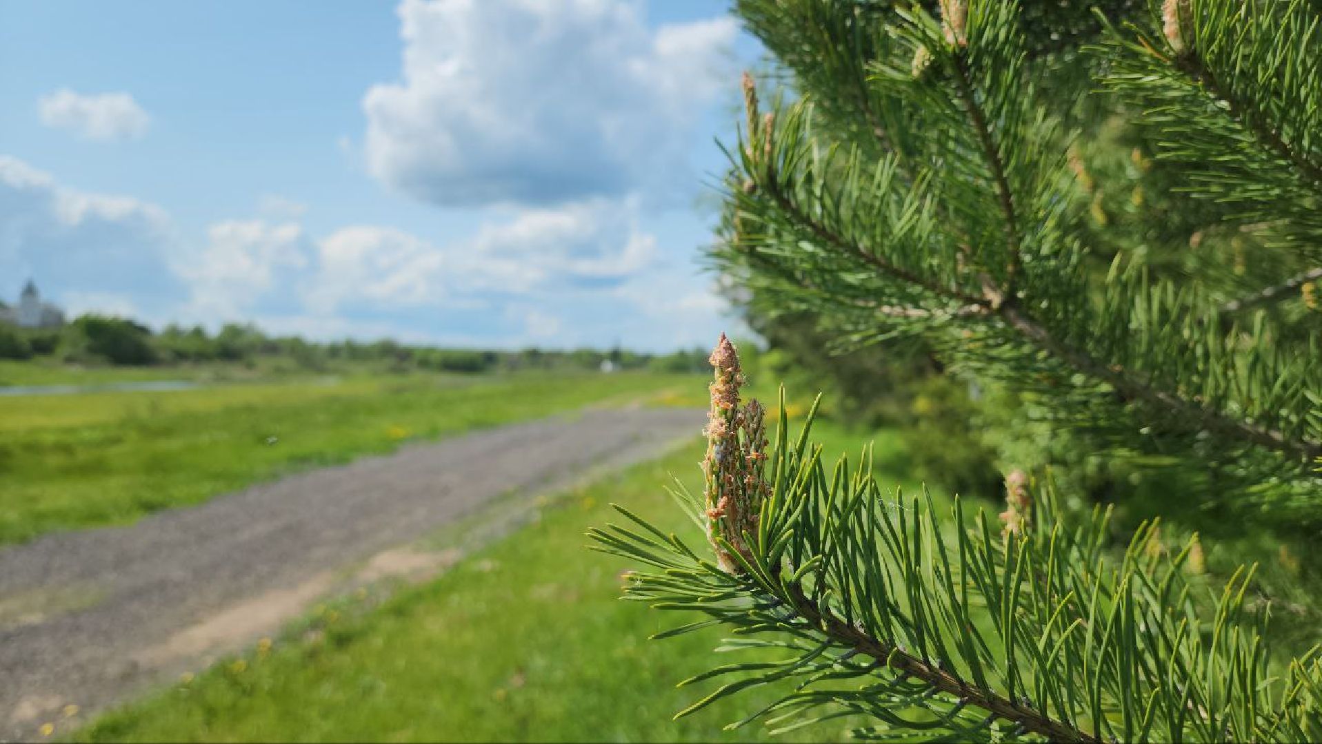 можайск, можайский городской округ, подмосковье, кп, контейнерная площадка, тко, мусор, вывоз тко, решение проблемы,жкх,
