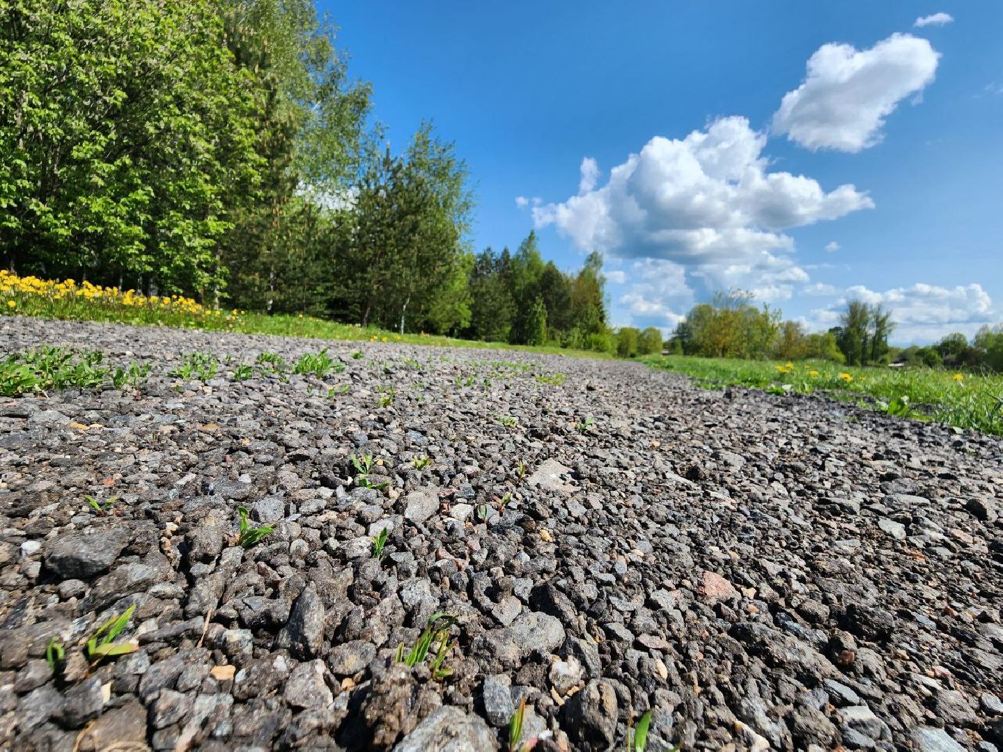 можайск, можайский городской округ, подмосковье, кп, контейнерная площадка, тко, мусор, вывоз тко, решение проблемы,жкх,