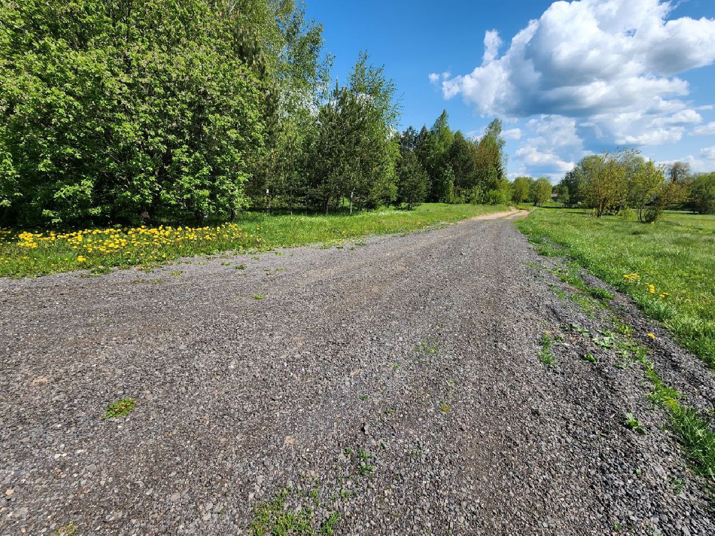 можайск, можайский городской округ, подмосковье, кп, контейнерная площадка, тко, мусор, вывоз тко, решение проблемы,жкх,