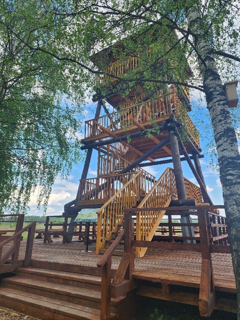 лосиный остров, понтонная тропа,