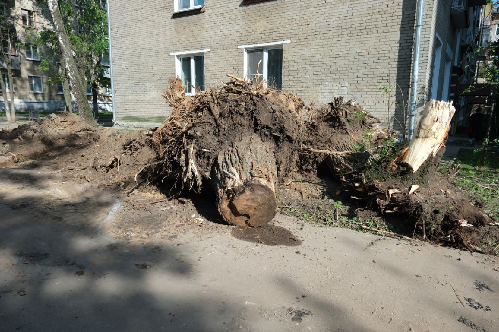 лыткарино, жкх, кбдт, благоустройство,