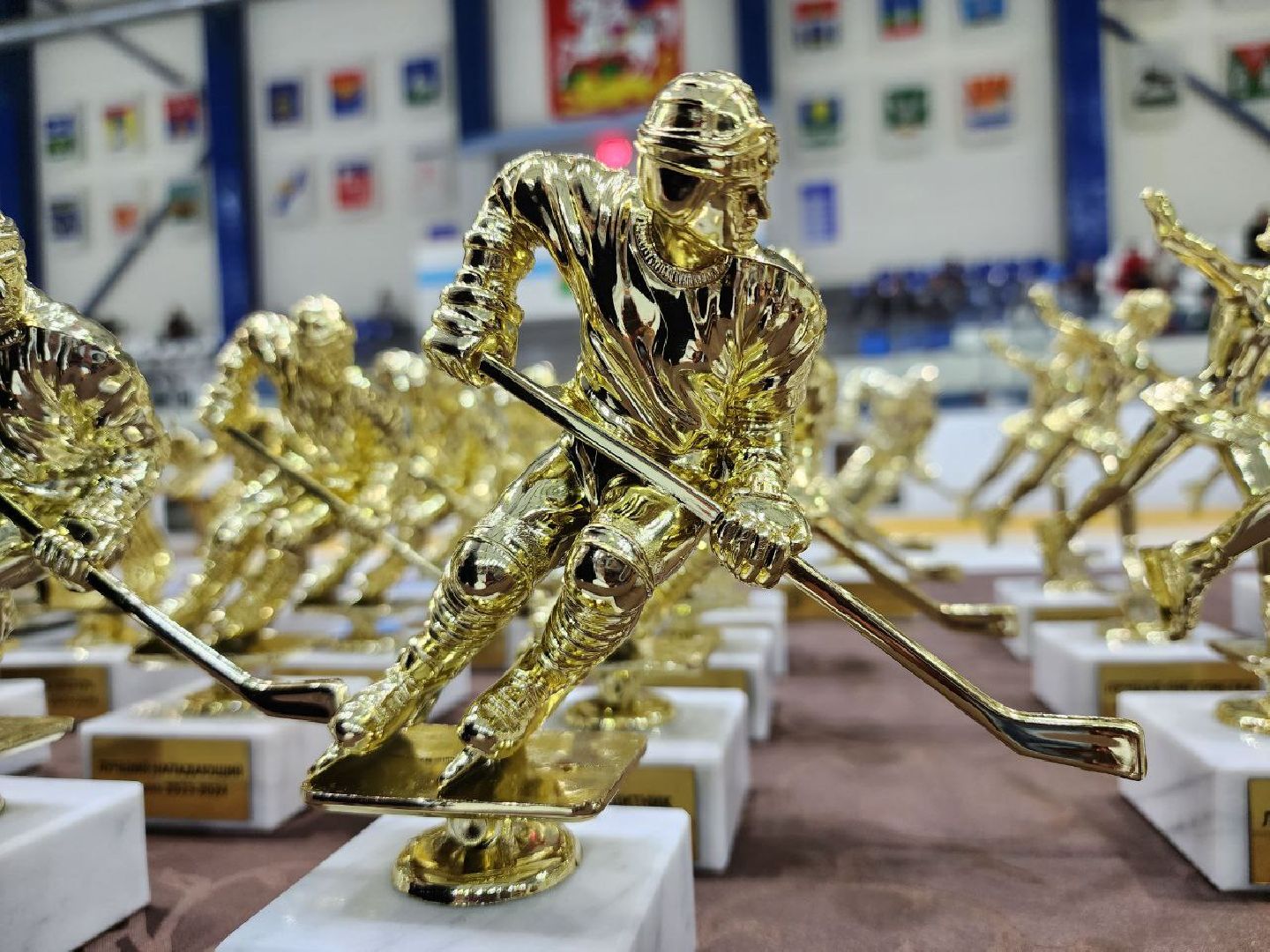 можайск, можайский городской округ, подмосковье, хоккей, фигурное катание, завершение сезона, зимние виды спорта, награждения, знаменитые спортсмены, глава округа,