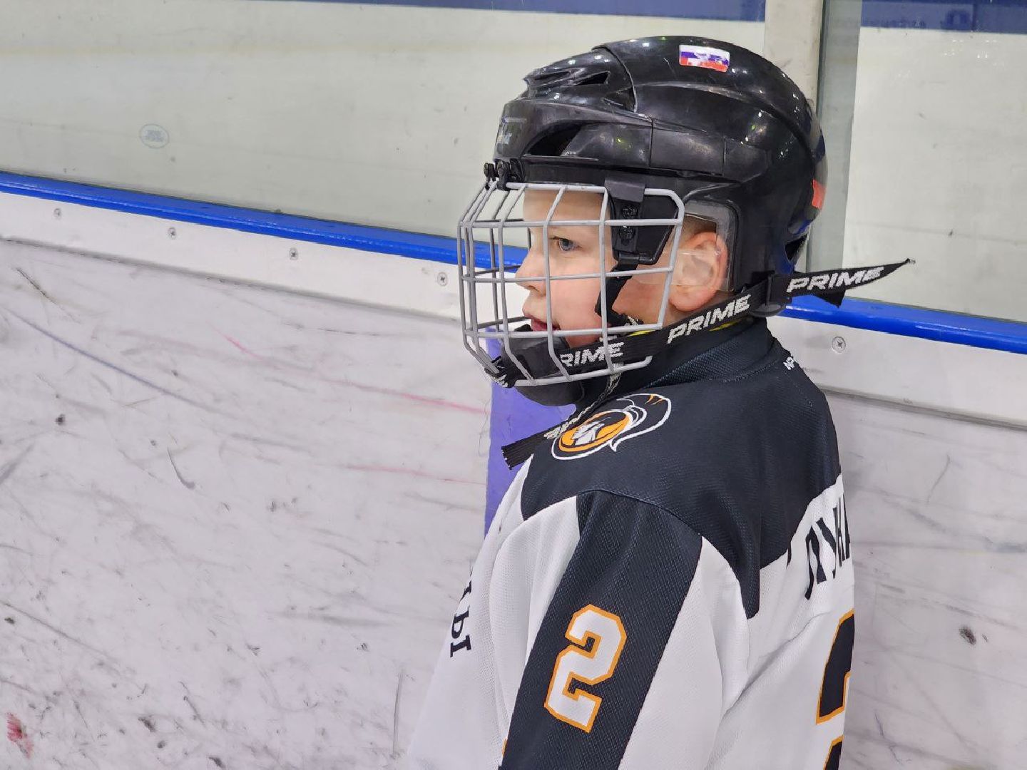 можайск, можайский городской округ, подмосковье, хоккей, фигурное катание, завершение сезона, зимние виды спорта, награждения, знаменитые спортсмены, глава округа,