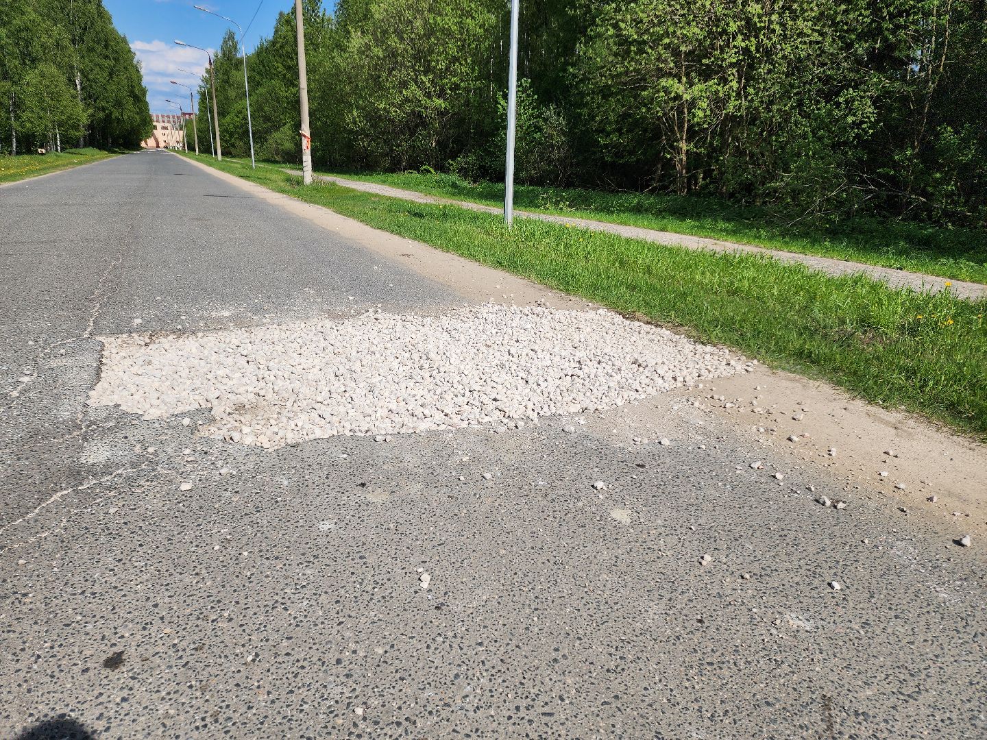 Черноголовка,