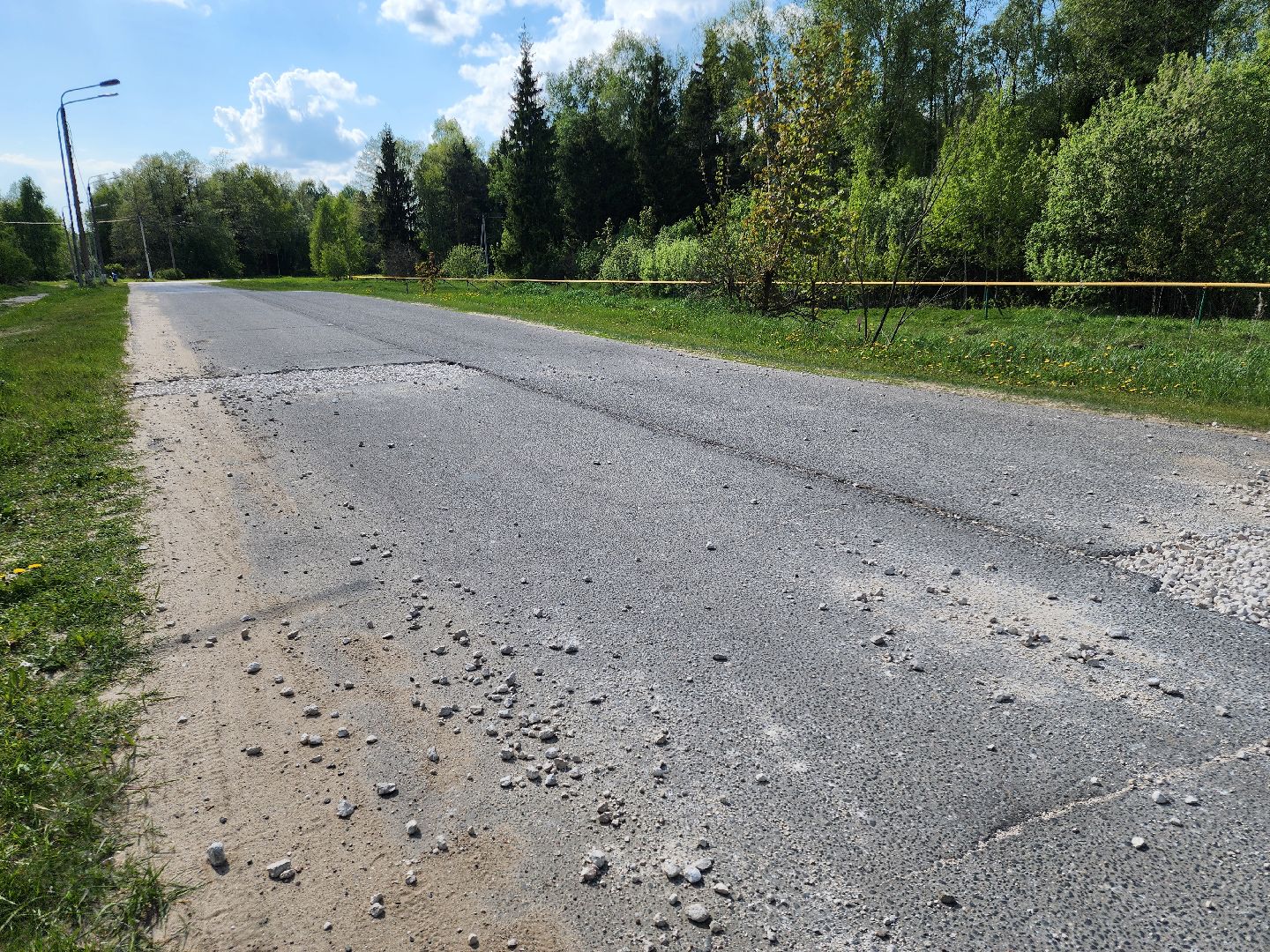 Черноголовка,