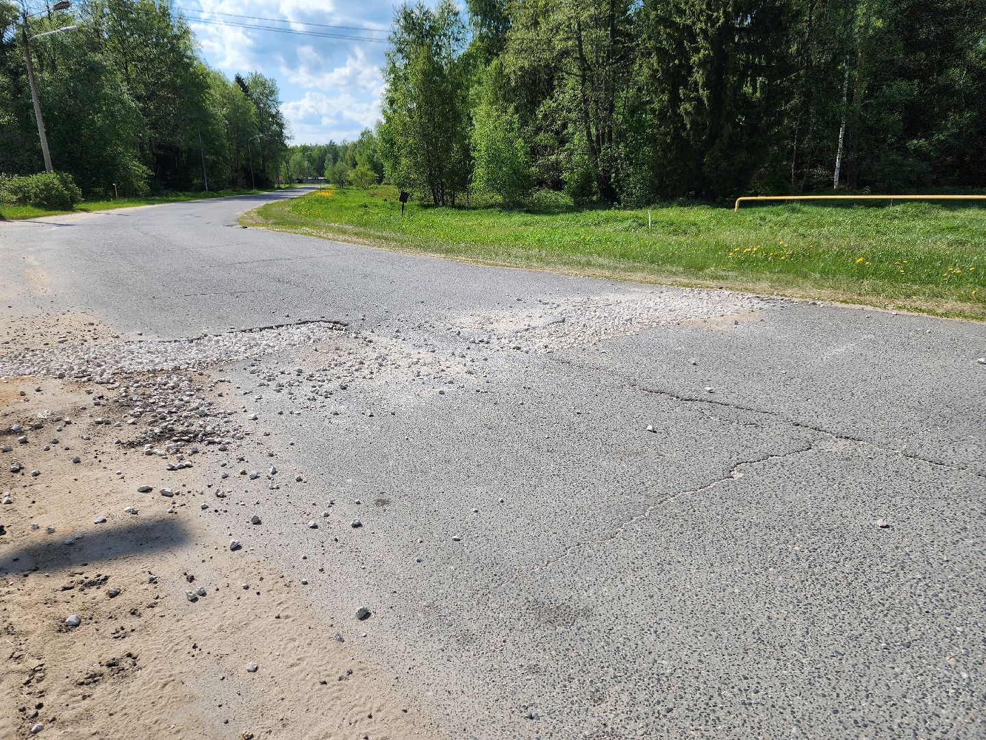 Черноголовка,