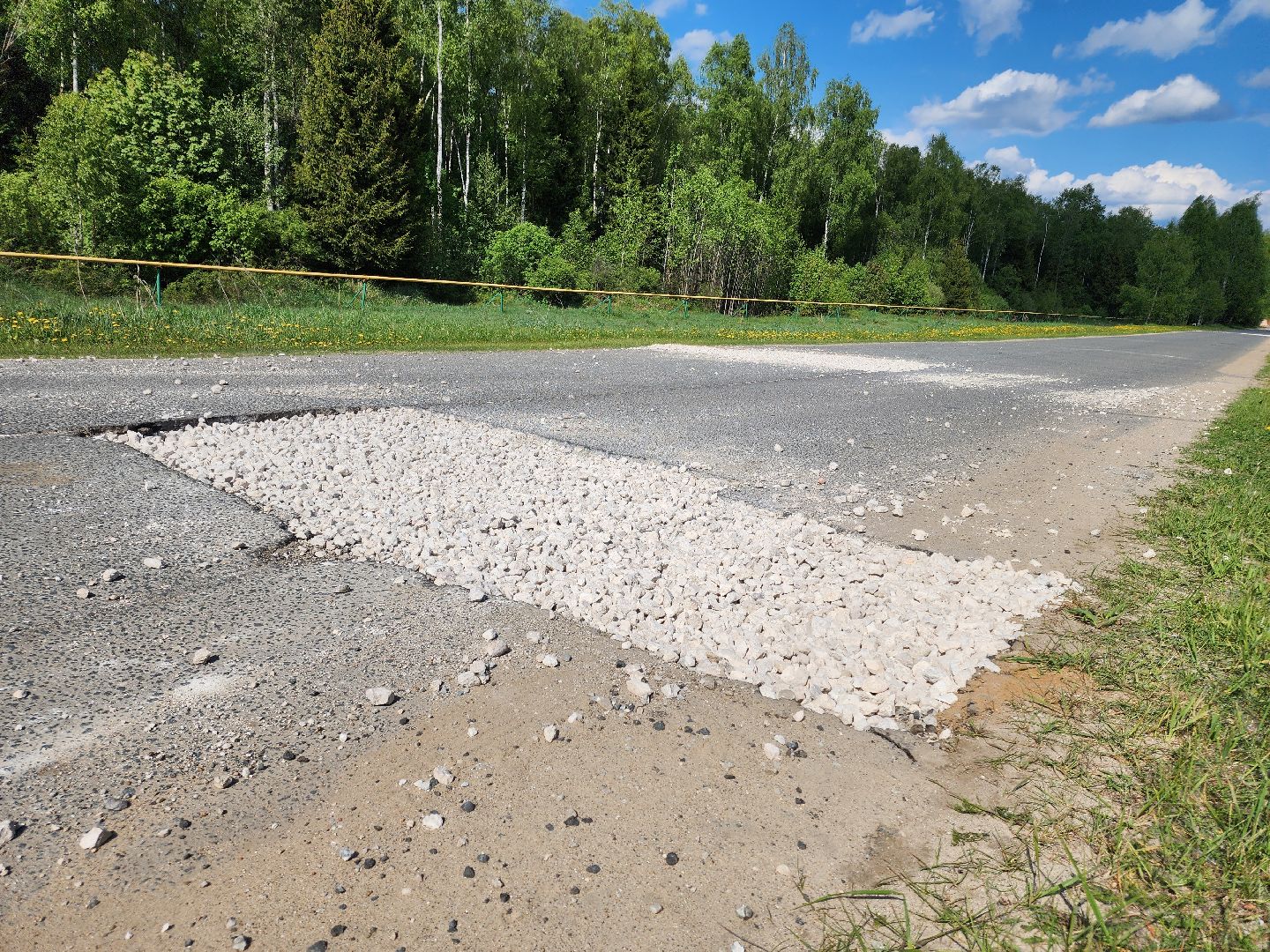 Черноголовка,