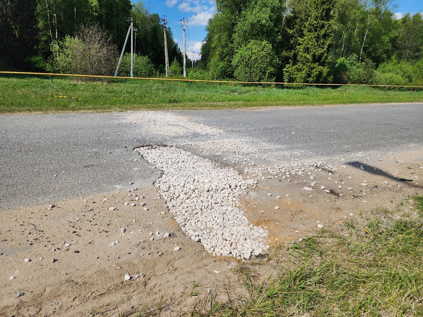 Черноголовка,