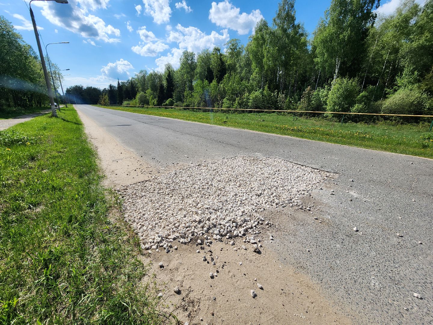 Черноголовка,