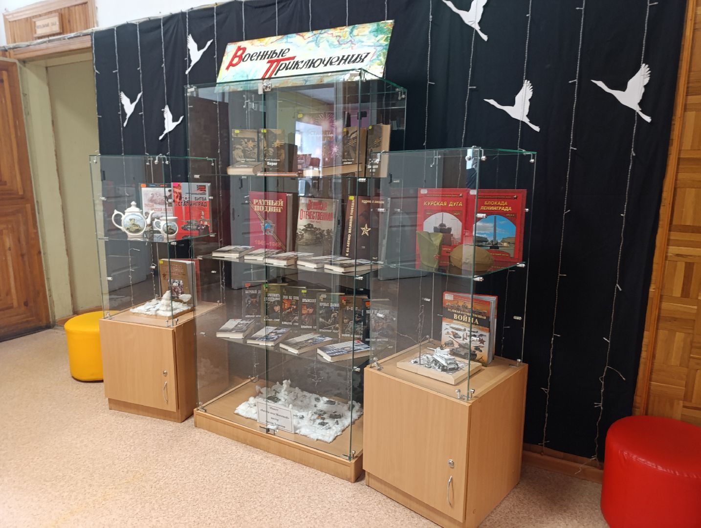 Бронницы, Неделя арктического кино, Библиотека Бронниц, Документальные фильмы в Бронницах,