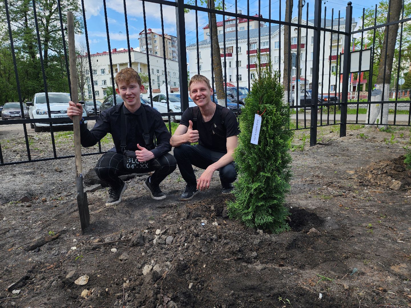 шатура, шэт, высадка туй, выпускные техникума, высадка деревьев,