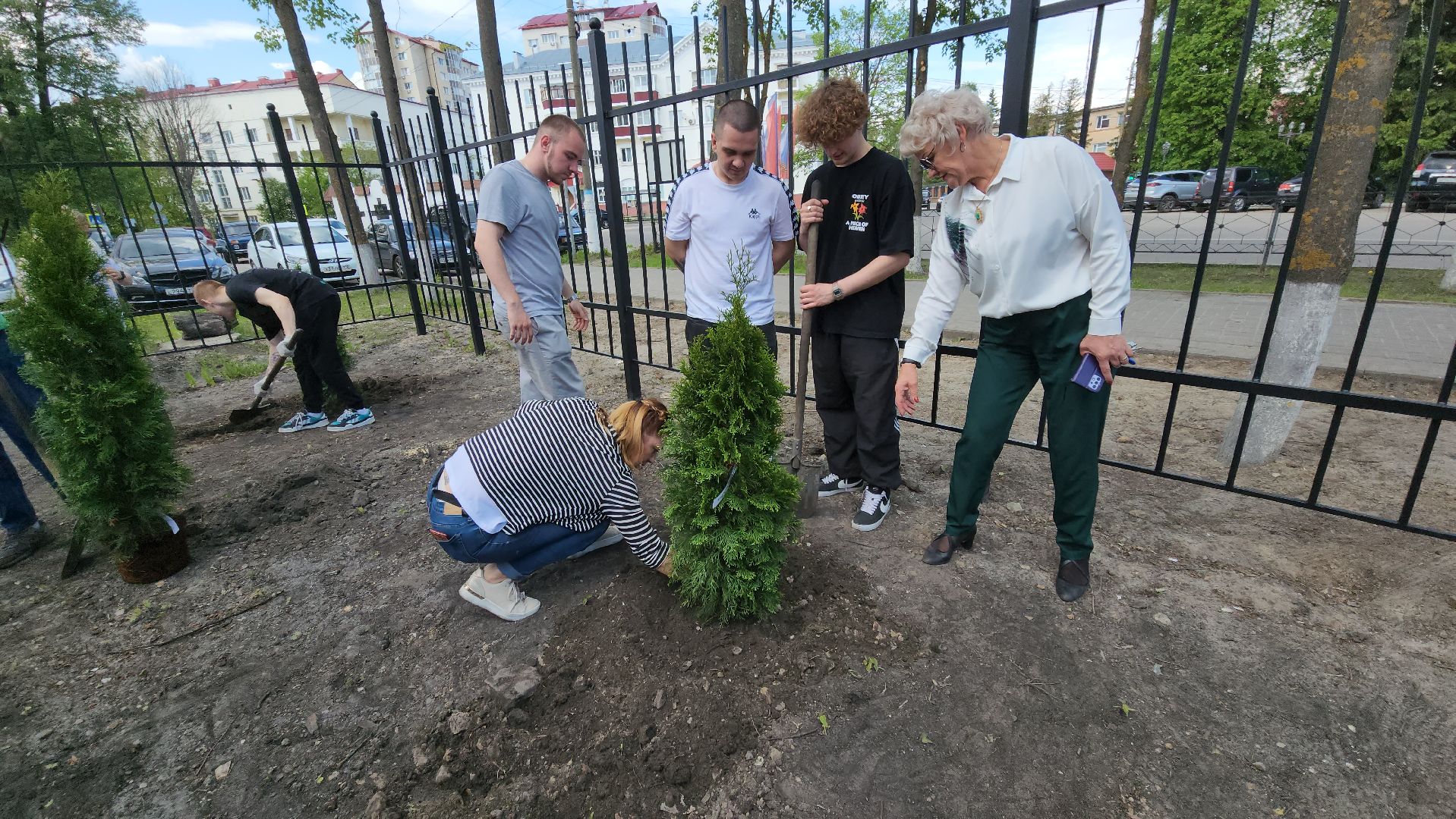 шатура, шэт, высадка туй, выпускные техникума, высадка деревьев,