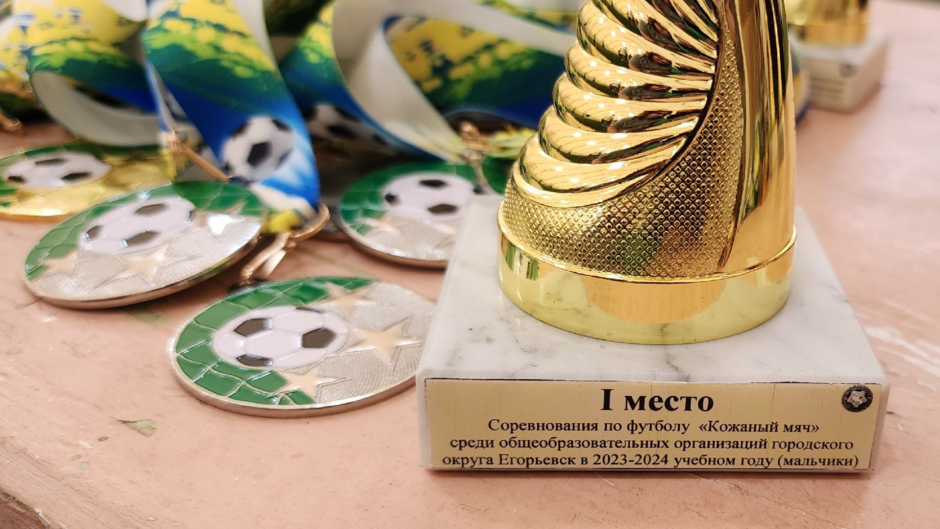 Егорьевск, Подмосковье, Московская область, Спорт, Турнир, Кожаный мяч, школьники,