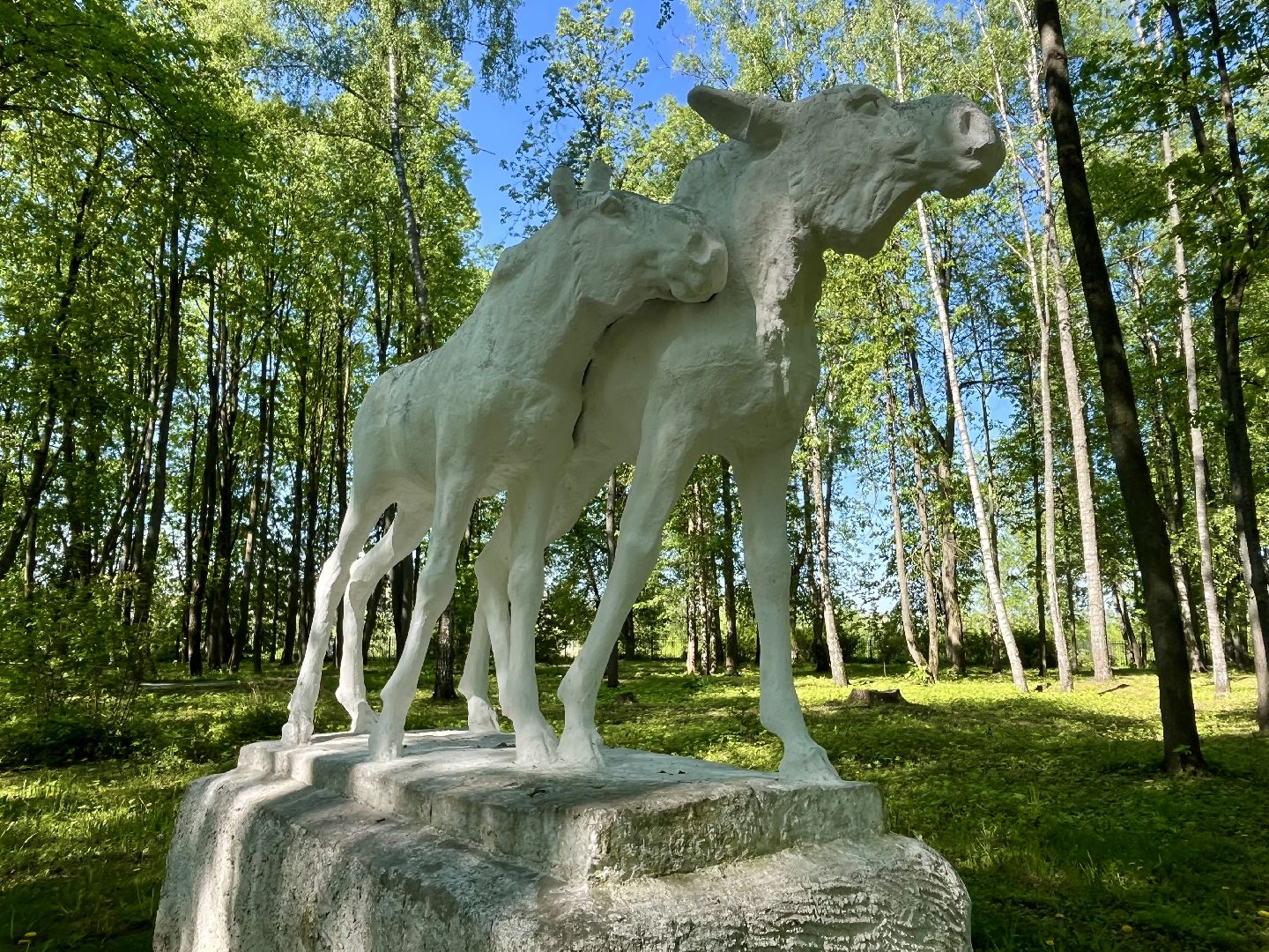 наро-фоминский городской округ, центральный парк наро-фоминска, парк памяти, совет депутатов наро-фоминск,