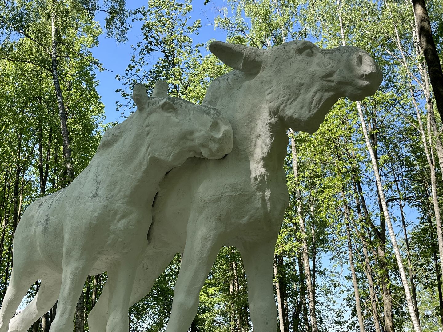 наро-фоминский городской округ, центральный парк наро-фоминска, парк памяти, совет депутатов наро-фоминск,