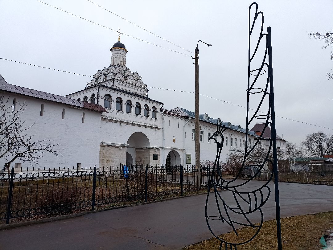 Серпухов, верба, весна